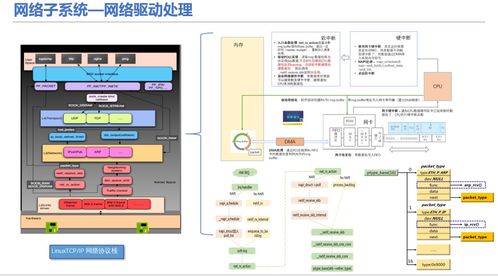 c 开发的p2p网络应用程序